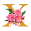 xanatu.com