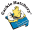cacklehatchery.com