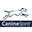 canine-spirit.com