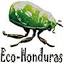 ecohonduras.net