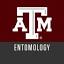extensionentomology.tamu.edu