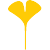 ginkgo-vietnam.com