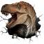 indiana9fossils.com