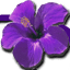 ksonesthai.com