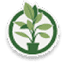plantje.nl