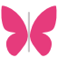 typely.com