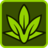 allbestcbdoil.com