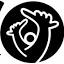 alosurf.com