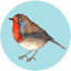 gardenbird.co.uk