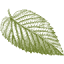 millernurseries.com