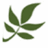 modernherbalist.com