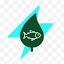 neotube.net