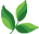phelpsnursery.com