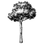 siteculture.co