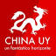 academiachinauy.edu.uy