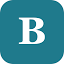 bsronline.nl