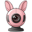 cambunny.net