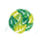 envisolve.in