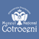 muzeulcotroceni.ro