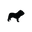 pigmentonicolealoi.com