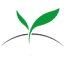 safiyasam.com