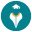 shiksha.com