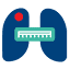taonas.org