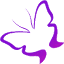 wingsprogram.com