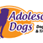 adolescentdogsacademy.co.uk