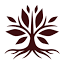 americanheritagechocolate.com