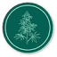 ancestral.company