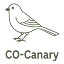 canary.com