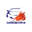 carbidarchive.com
