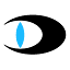 dallmeier.com