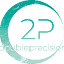 doubleprecision.email