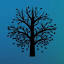 escapistbookblog.com