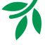 mennonitemission.net