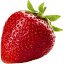 oazis-roz.ru