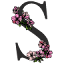 sflower.co.il