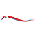 ahaworldcampus.com