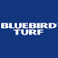 bluebirdturf.com
