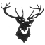buckhorn.com