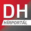 delhir.info