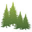 grandjunctionfcu.org