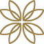 hanamihotel.com