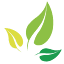 lattrapefleurs.com