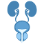 papazoglou-urology.com