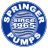 springerpumps.com