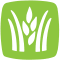 stoverseed.com