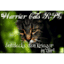 warriors-rpg.com